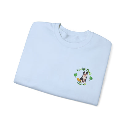 border collie
